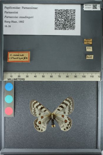 Media type: image;   Entomology 180371